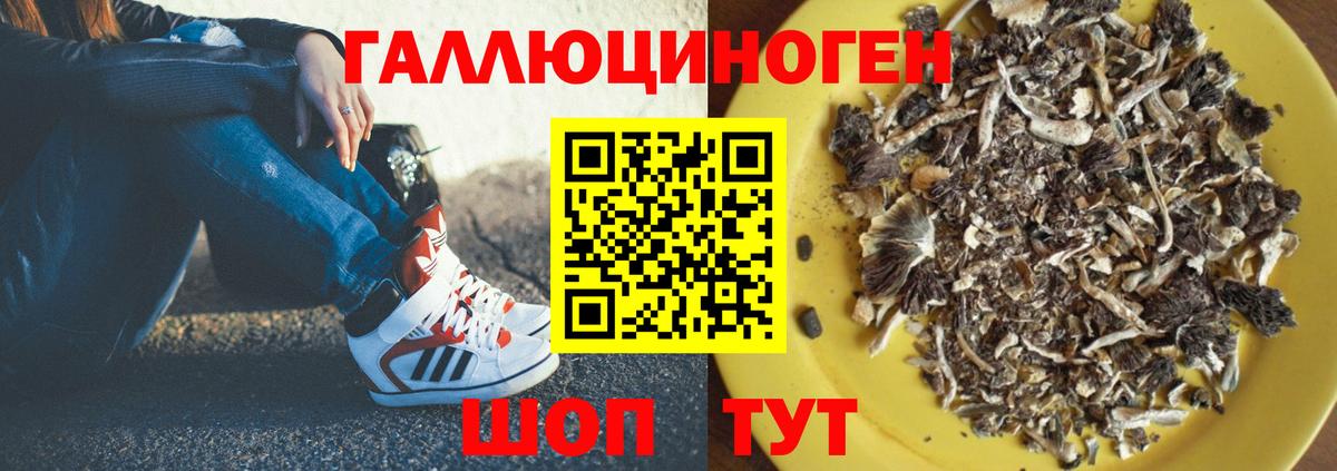 Орехово-Зуево  хочу наркоту  Вход с VPN  Галлюциногенные грибы Psilocybine cubensis 